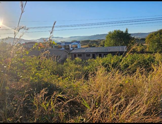 BUSINESS FOR SALE IN SHAYANDIMA